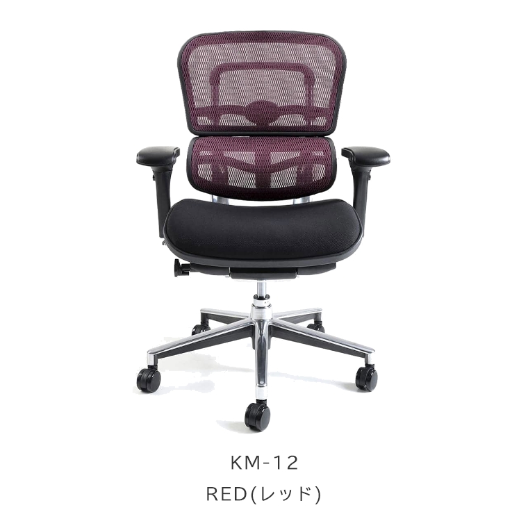 組立不要】 エルゴヒューマン ベーシック 座面クッションタイプ