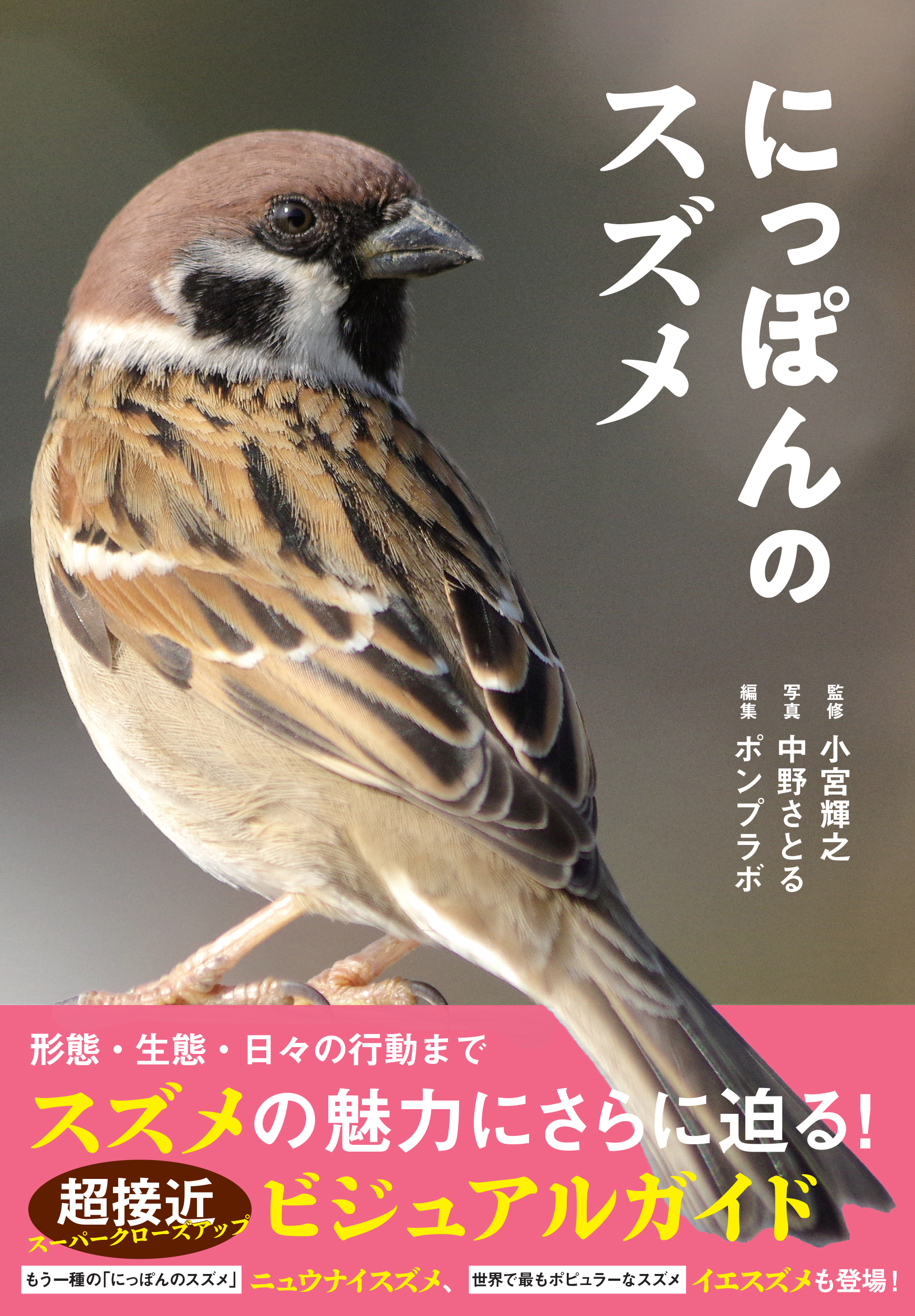 にっぽんのスズメ - 株式会社カンゼン