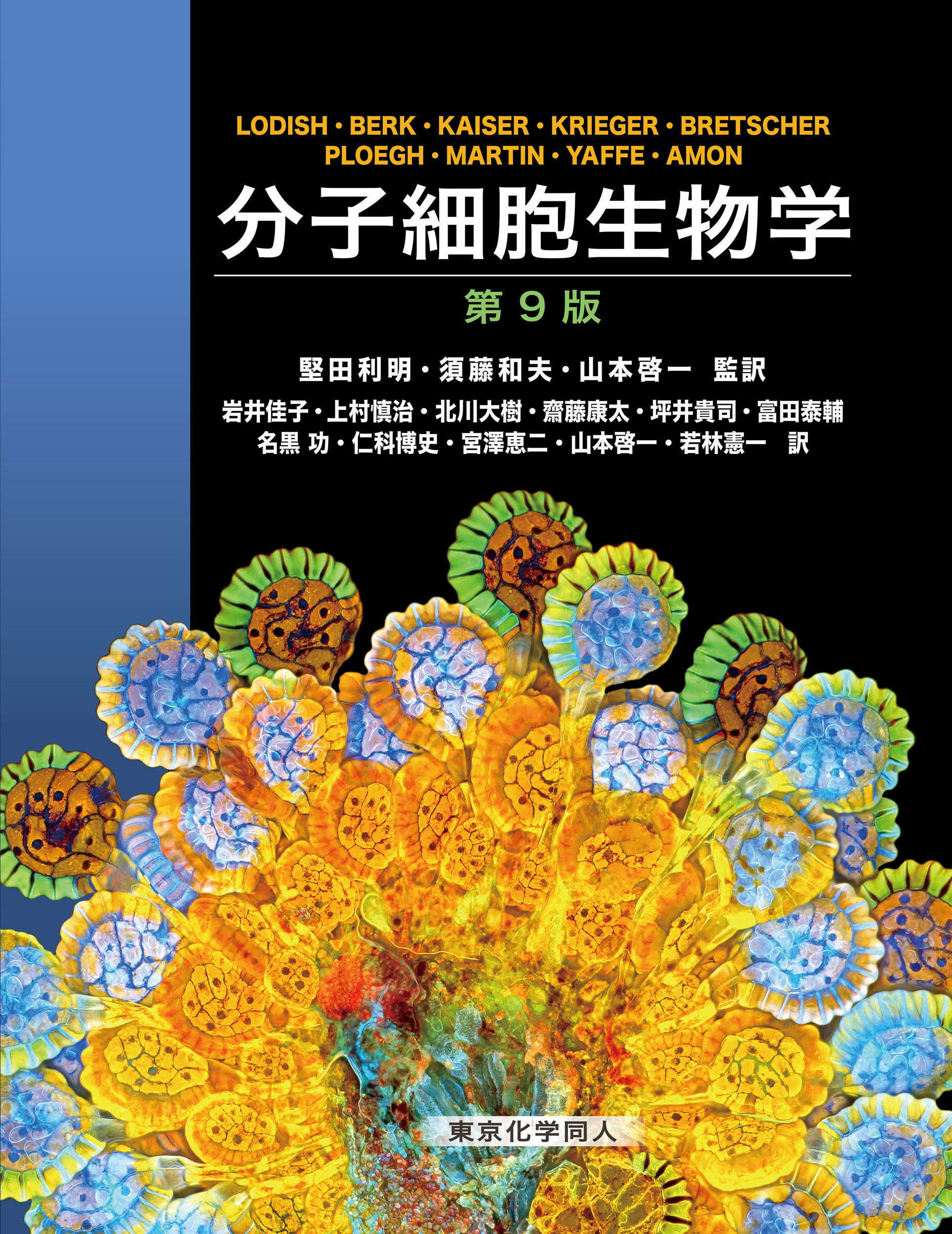 分子細胞生物学 第9版 - 株式会社東京化学同人