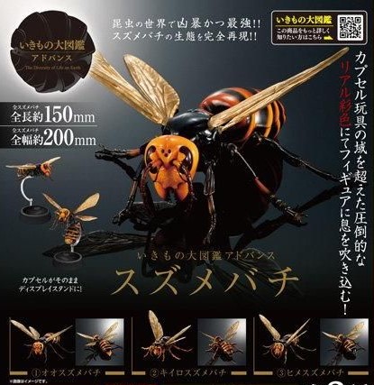 スズメバチの生態を再現！ ガシャポン「いきもの大図鑑アドバンス