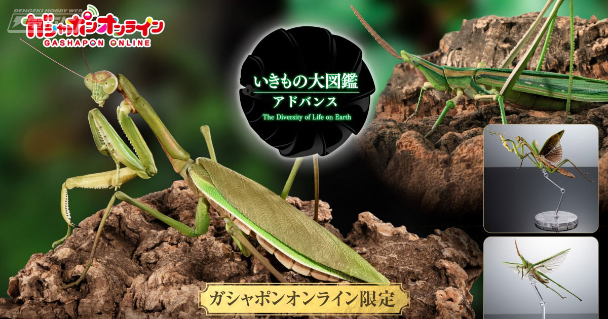 オオカマキリとショウリョウバッタが2倍以上の大きさで可動フィギュア