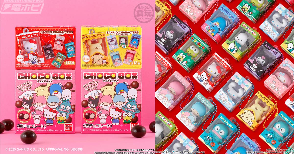 各キャラクターをデザインした可愛いパッケージ付き！「サンリオ