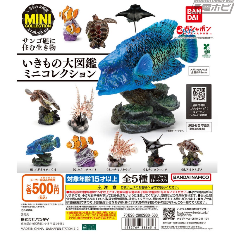 メガネモチノウオ、カクレクマノミなど、サンゴ礁に生息する生き物たち