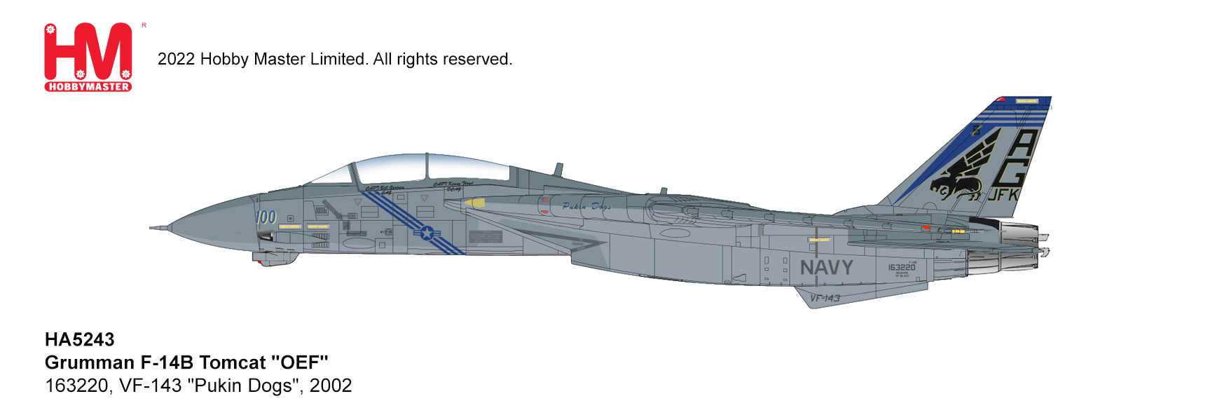 Grumman F-14B Tomcat 