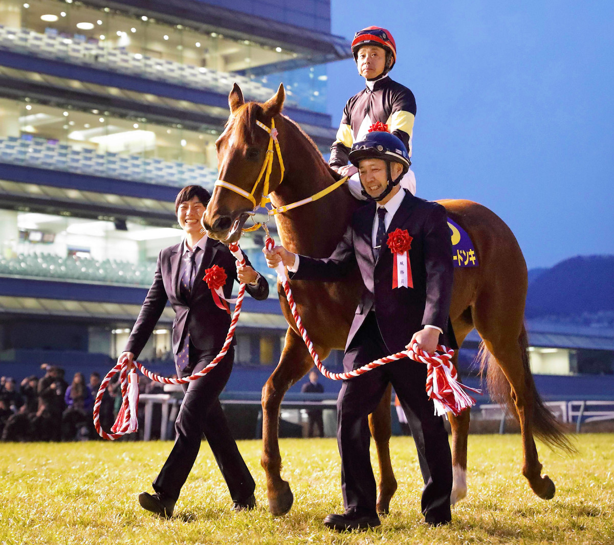 阪神C】15年桜花賞馬レッツゴードンキ、ラストランは追い込んで4着