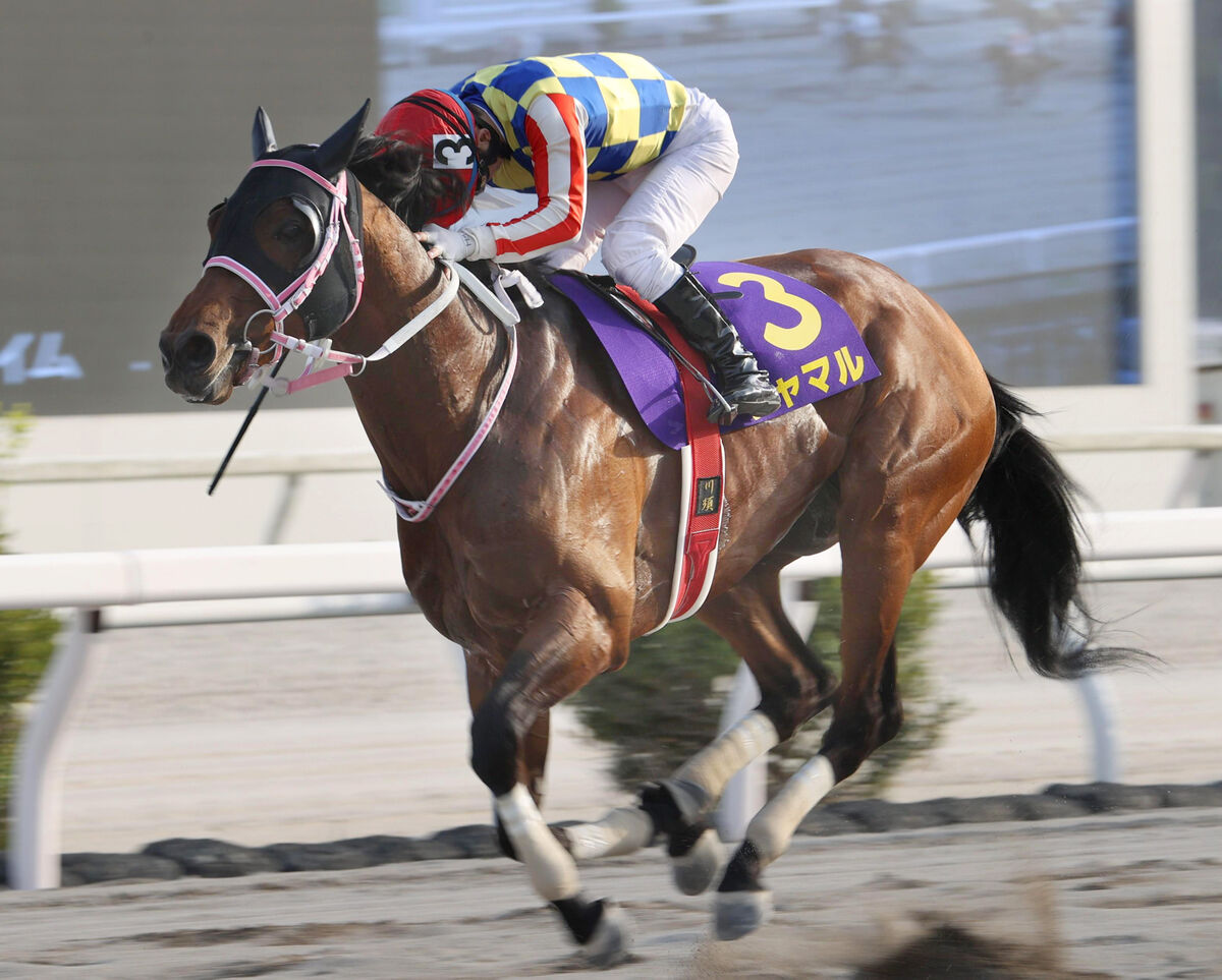 黒船賞】シャマルが逃げ切り史上2頭目の3連覇 斤量59キロを克服し