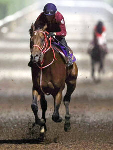 BCクラシック】フォーエバーヤングが坂路で活気あふれる動き 坂井瑠