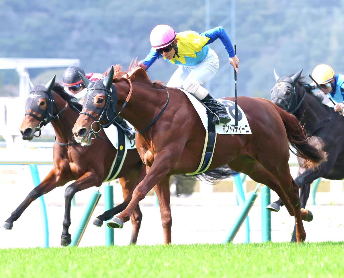 小倉6R】G1馬の半弟ボンドマティーニが力強く抜け出す 北村友一