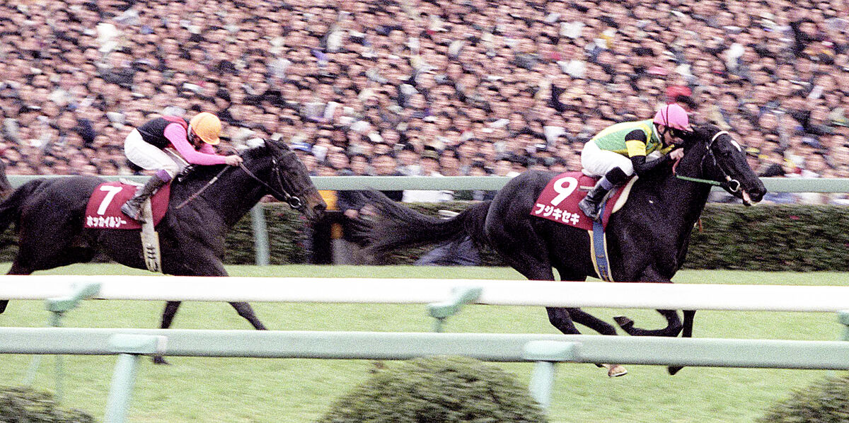 まねき馬 直筆 No.107 ホッカイルソー 蛯名騎手直筆（未開封） 2025年