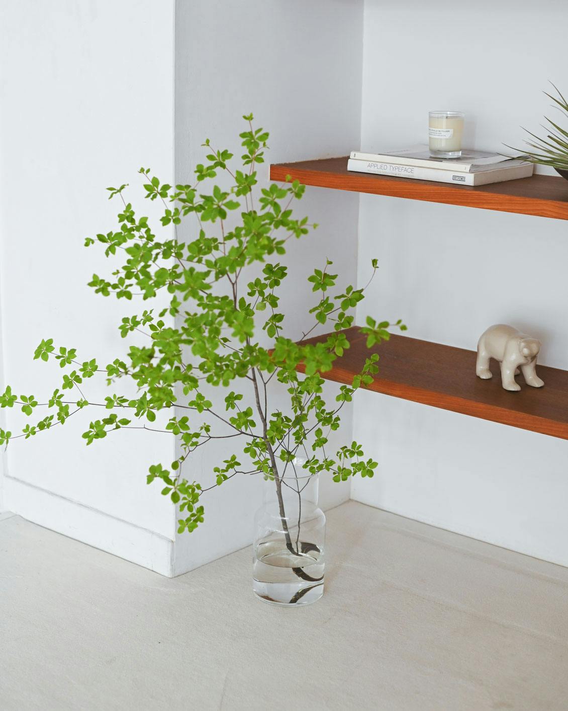 Nuutajarvi/FLORAシリーズ/Oiva Toikka/オイバ・トイッカ/ガラスボウル