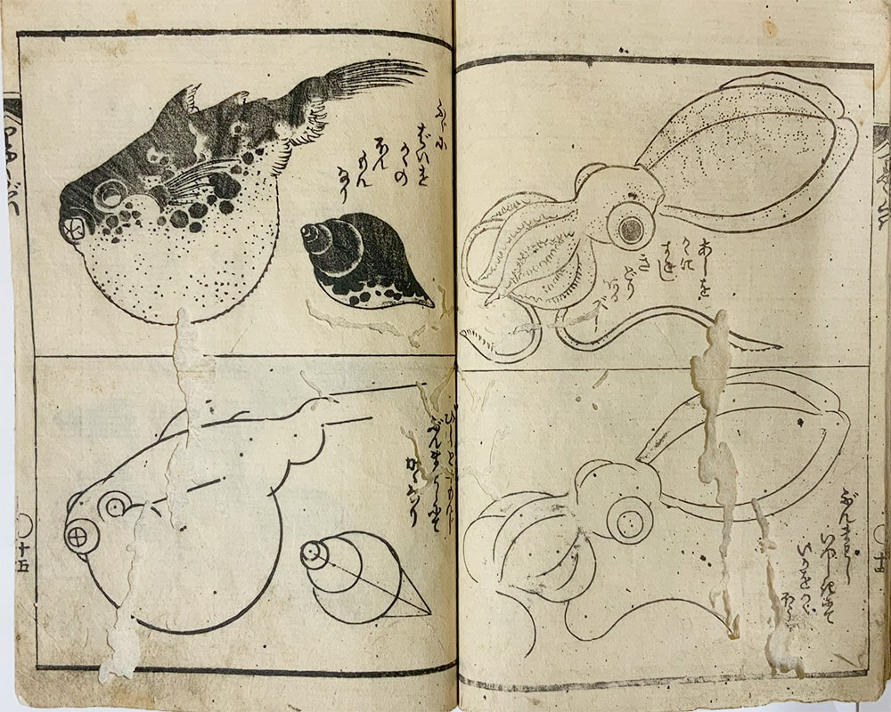 企画展】北斎“水族”館へようこそ！ | 小布施 北斎館