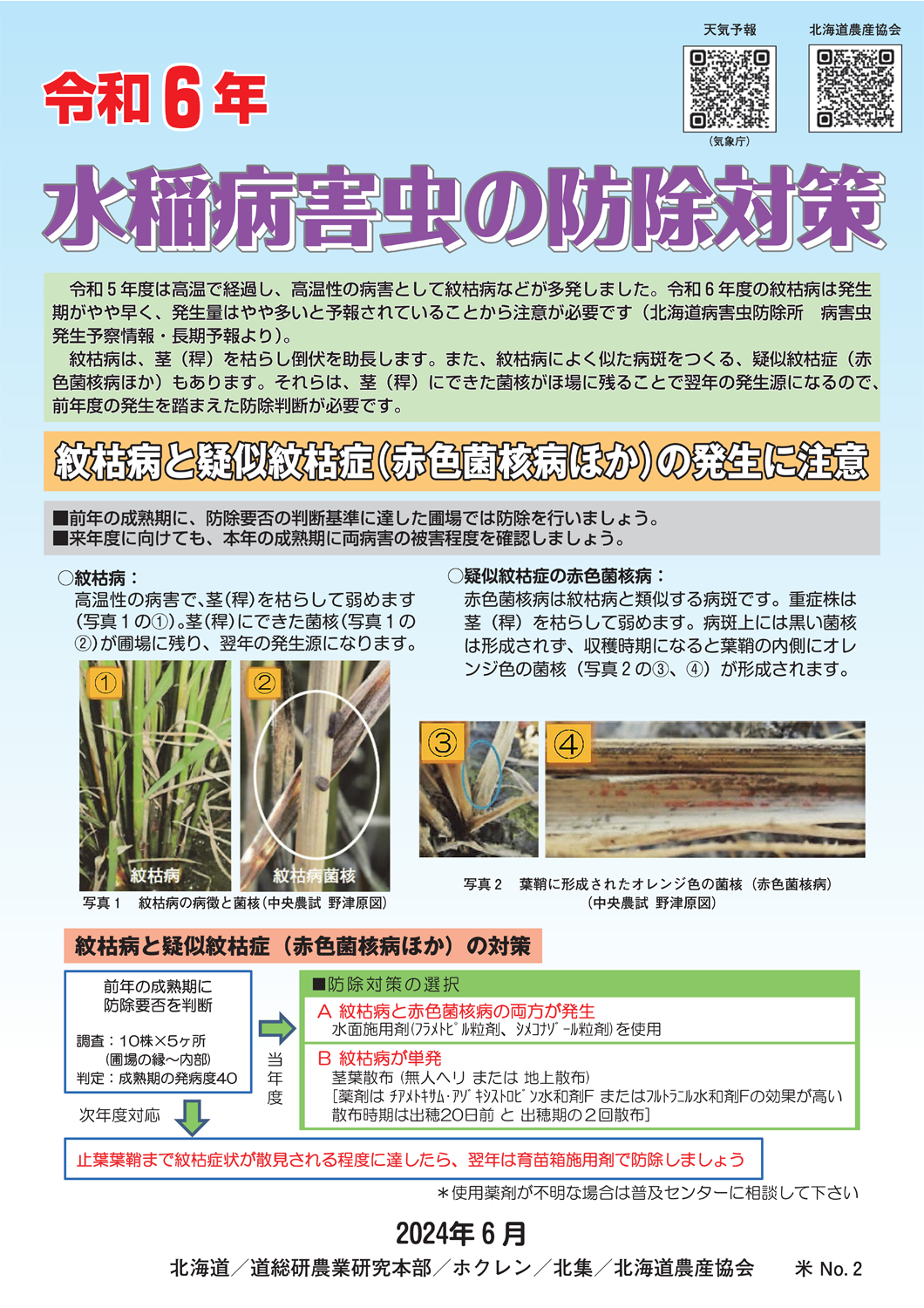 イラストみんなの農業教室 4 水稲の増収技術 送料無料 イラスト