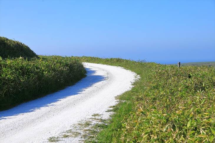最北の白い道】宗谷丘陵にある美しい道・マップコードもあり | 北海道