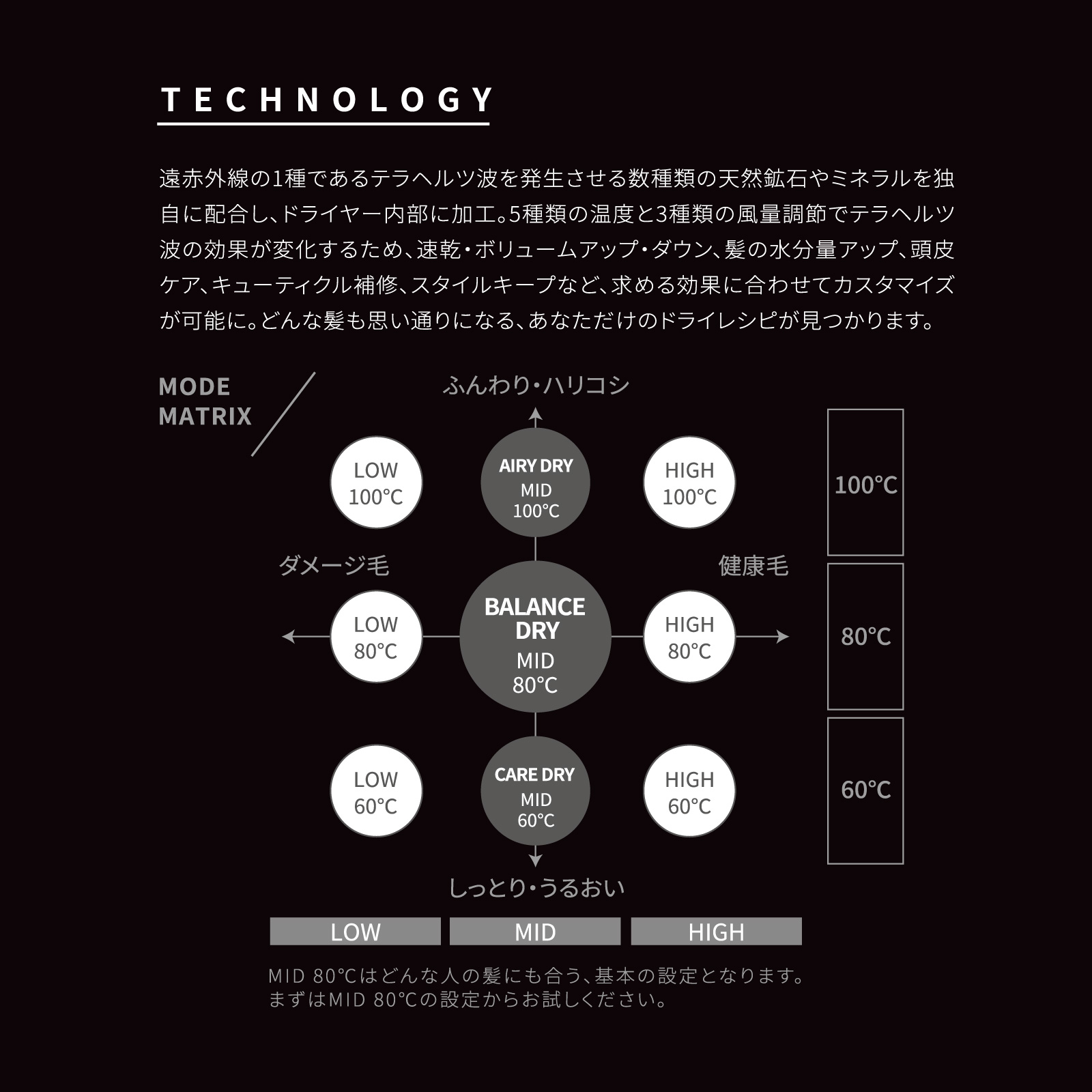 オーシャントリコ ザ ドライヤー プロフェッショナル / ホリスティック