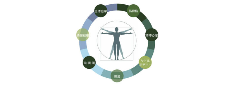 東京港区芝公園・田町・芝浦でフィシオエナジェティック