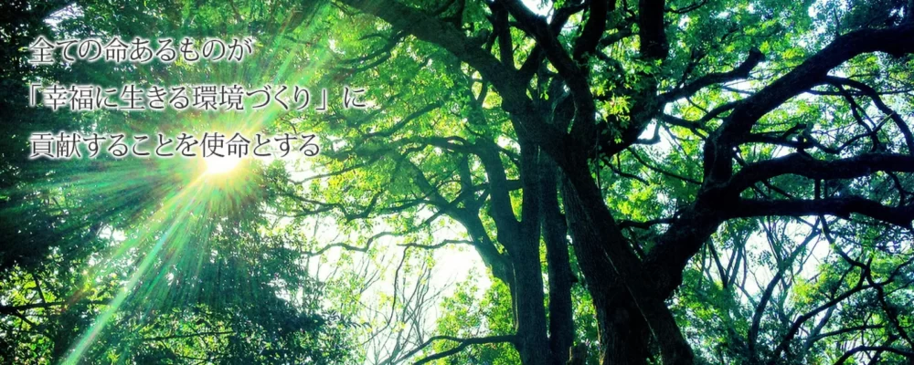 公式】分子状水素生成器 NEWJOYシリーズ