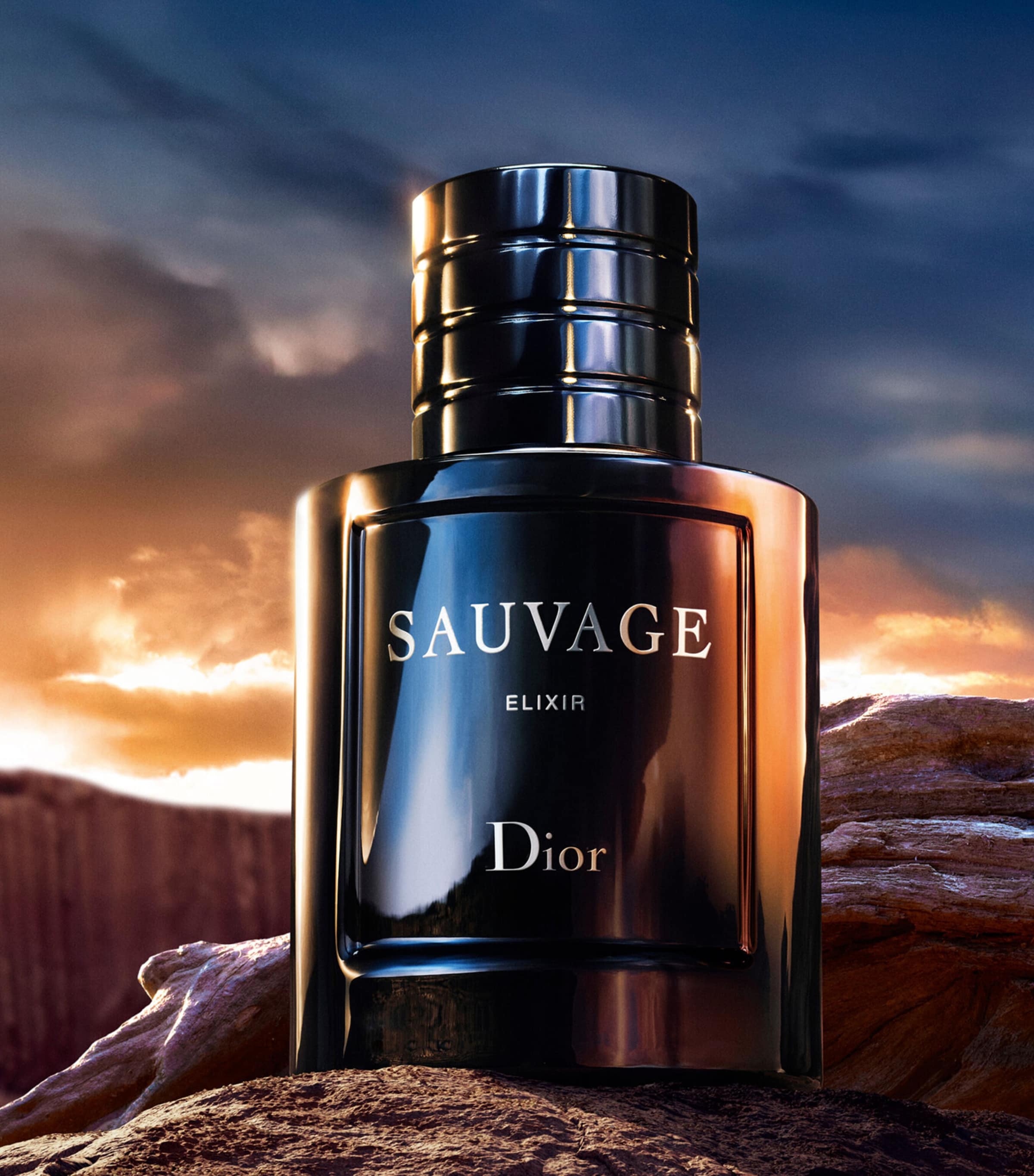 Dior SAUVAGE -ソヴァージュ- DIOR Sauvage Elixir (100ml)