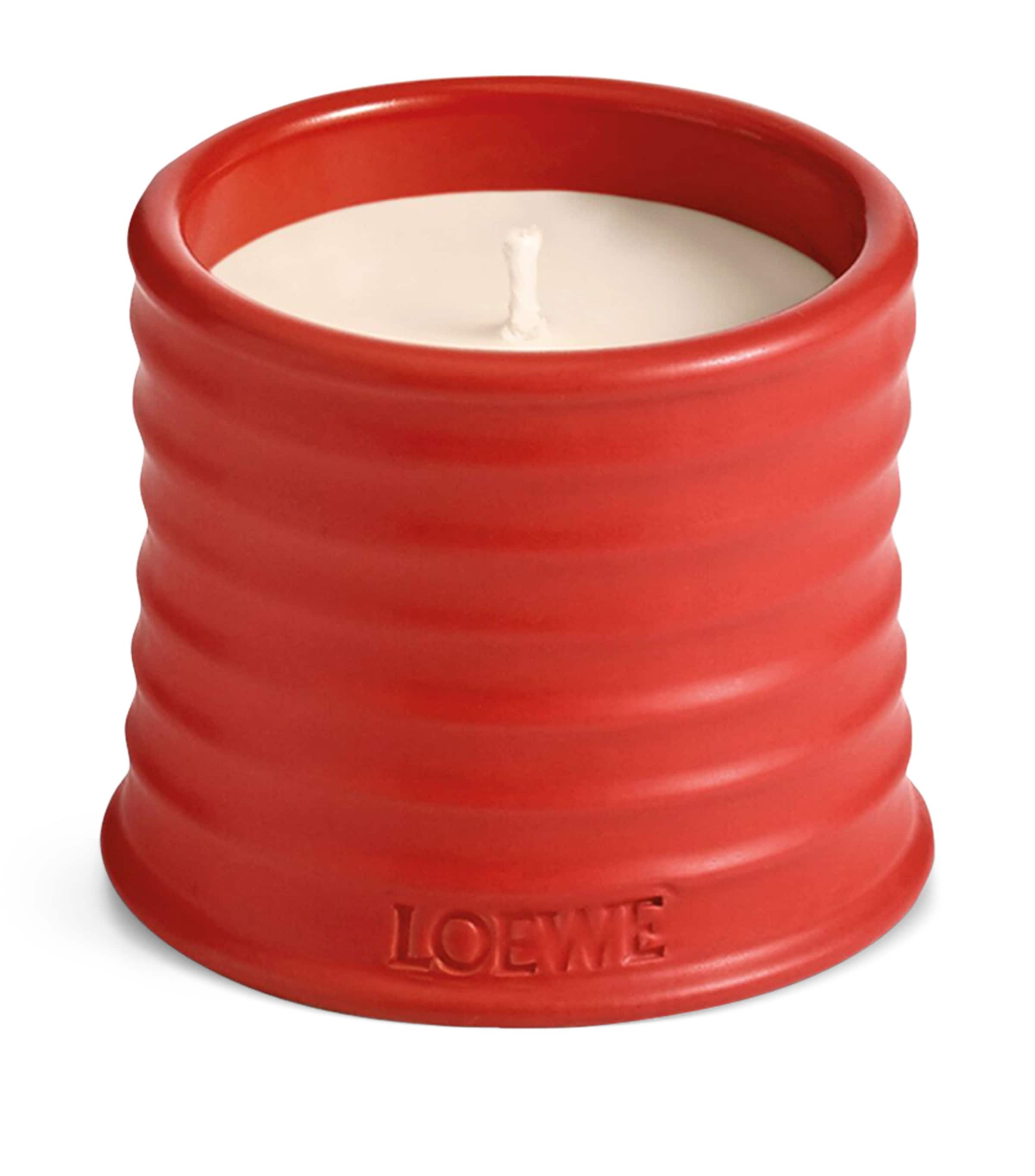LOEWE Small Tomato Leaves Candle (170g) | Harrods US
