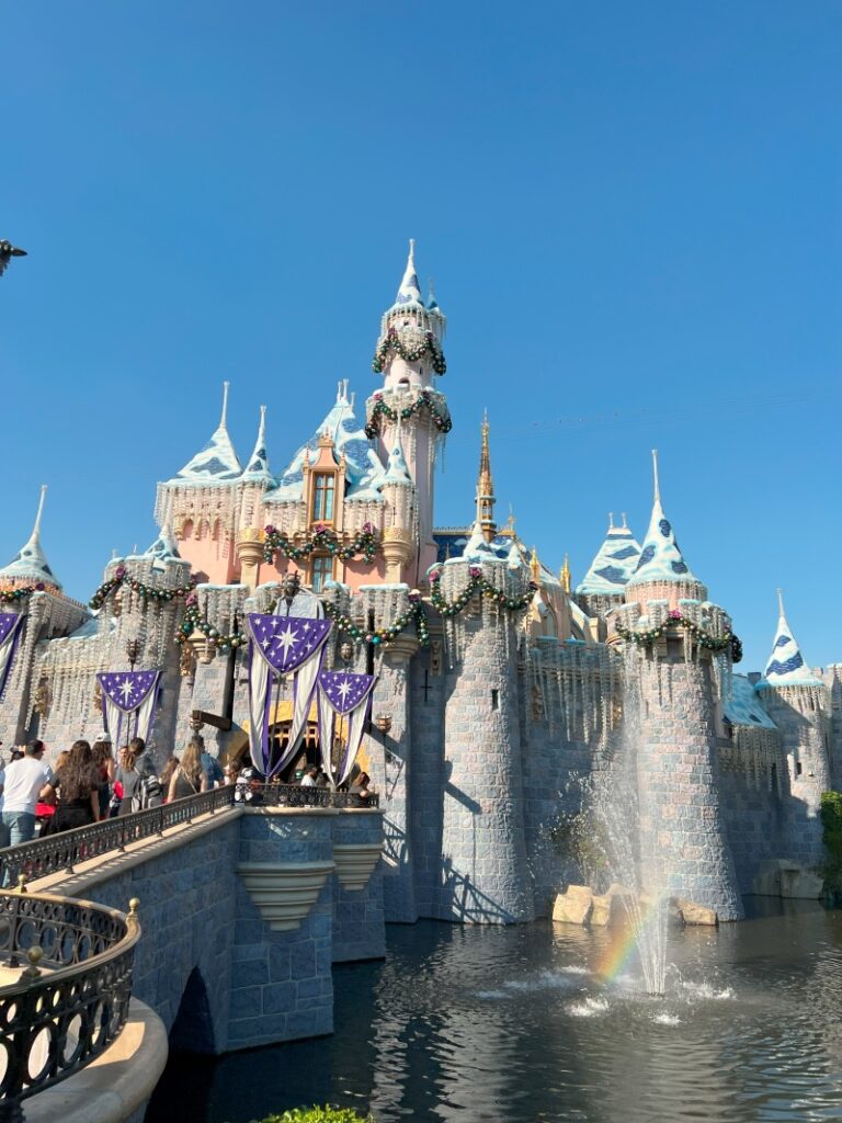 DLR＆DCL】「シンデレラ城」ならぬ「眠れる森の美女の城」美しい