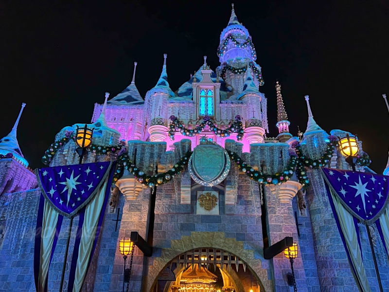 DLR＆DCL】「シンデレラ城」ならぬ「眠れる森の美女の城」美しい