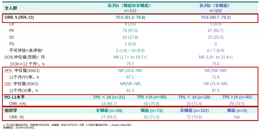 王孟昭教授：非小细胞肺癌和小细胞肺癌的免疫治疗现状及研究进展-呼吸界