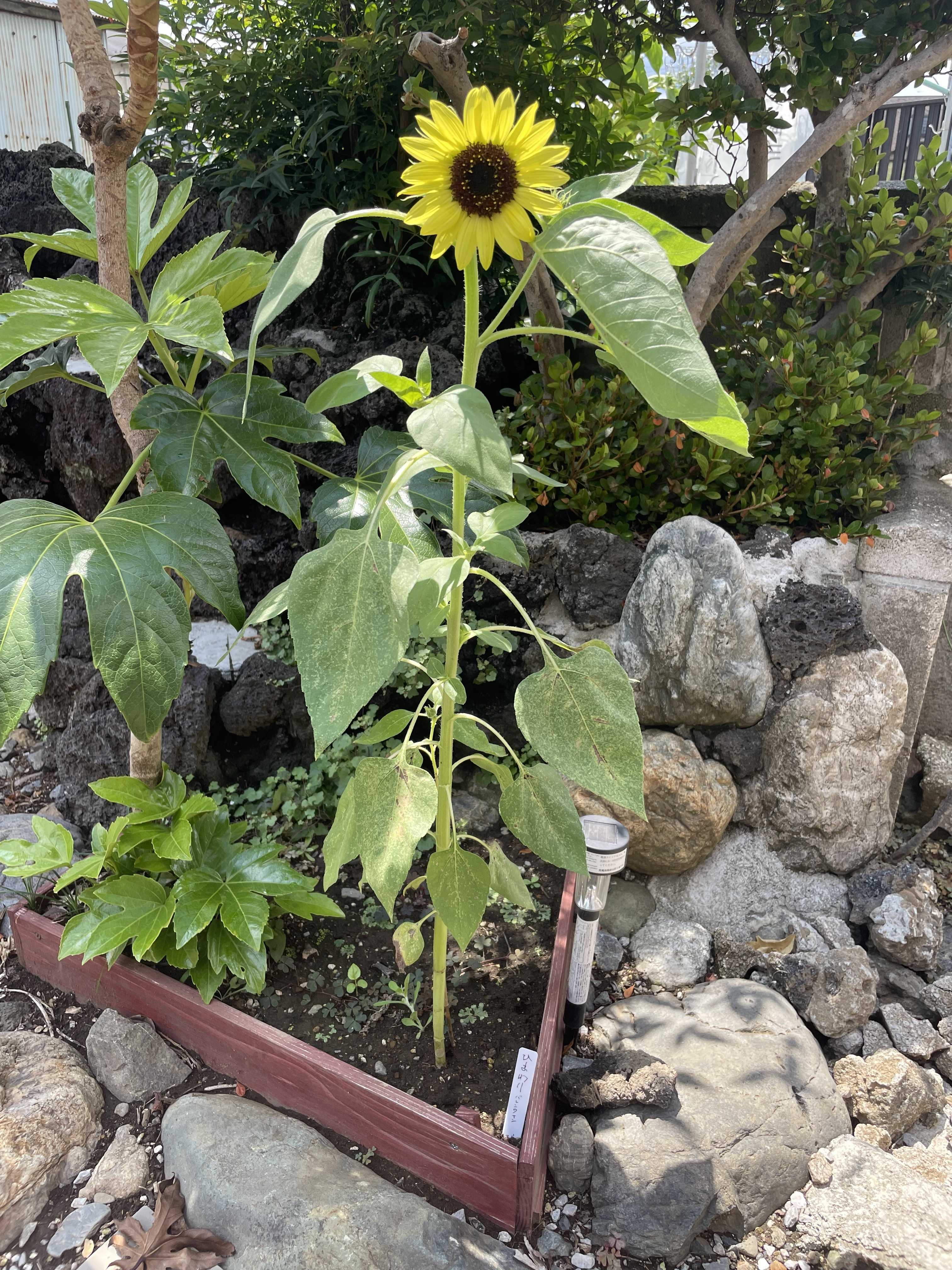 b82e033b-b1fe-4448-86ef-