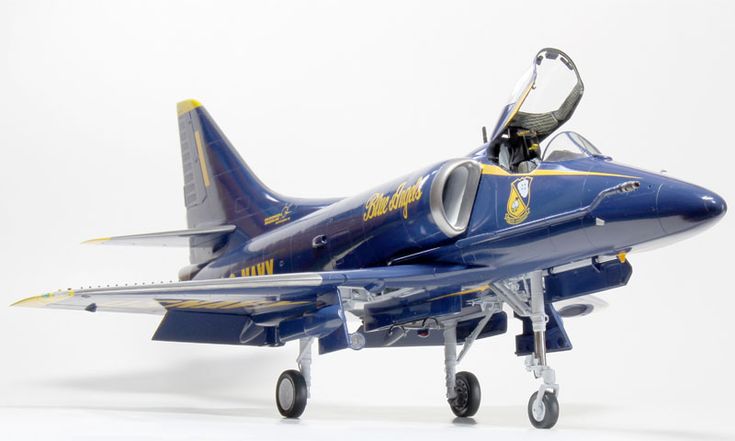 おなみどらっがー