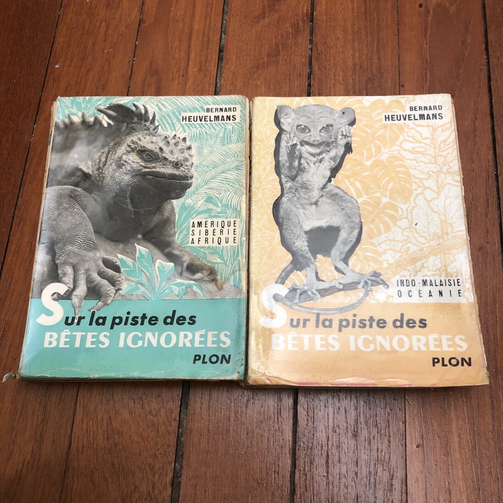 My 1955 first edition of 