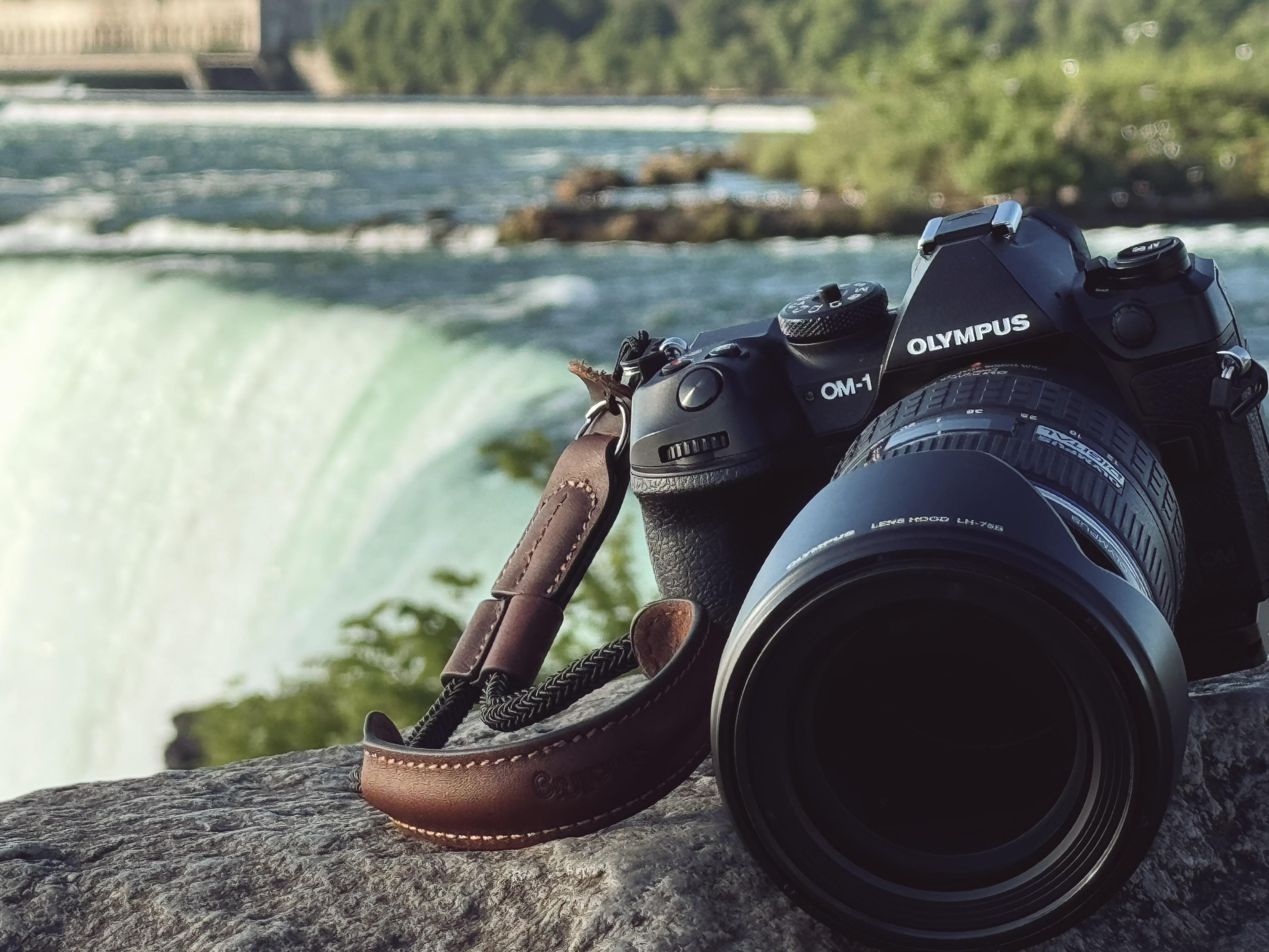 My go-to combo: OM-1 with Zuiko 12-60 f2.8-4 : r/M43