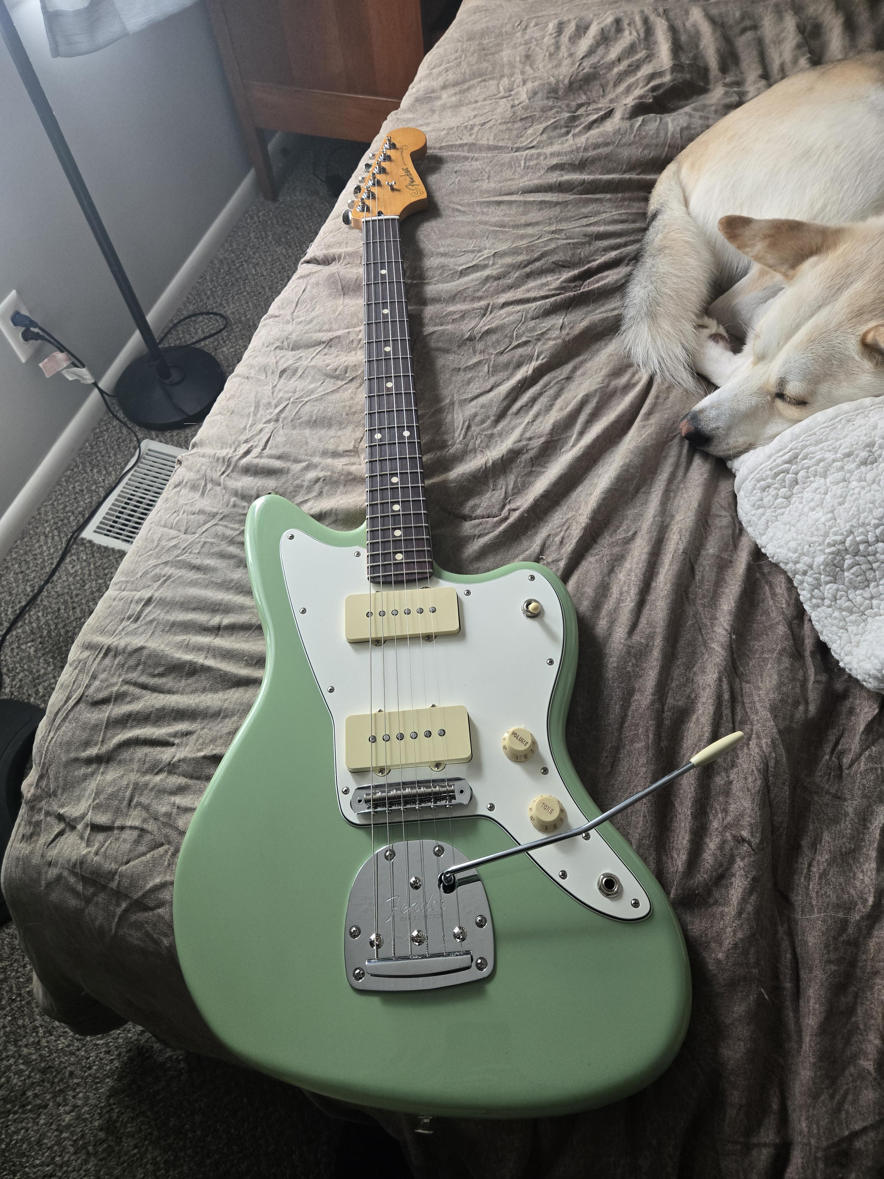 NGD Fender Player ii Jazzmaster : r/offset