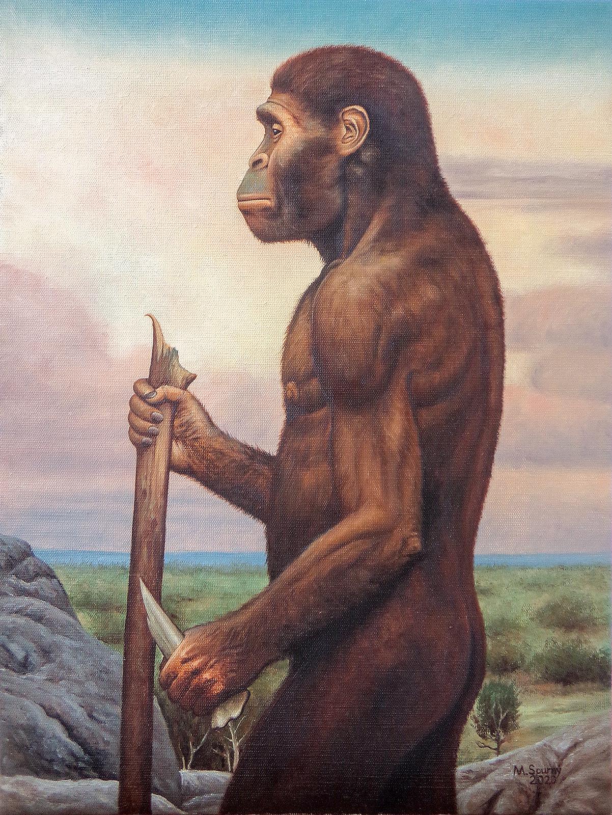 アウストラロピテクス・アフリカヌス、油彩、キャンバス、30 x 40 cm