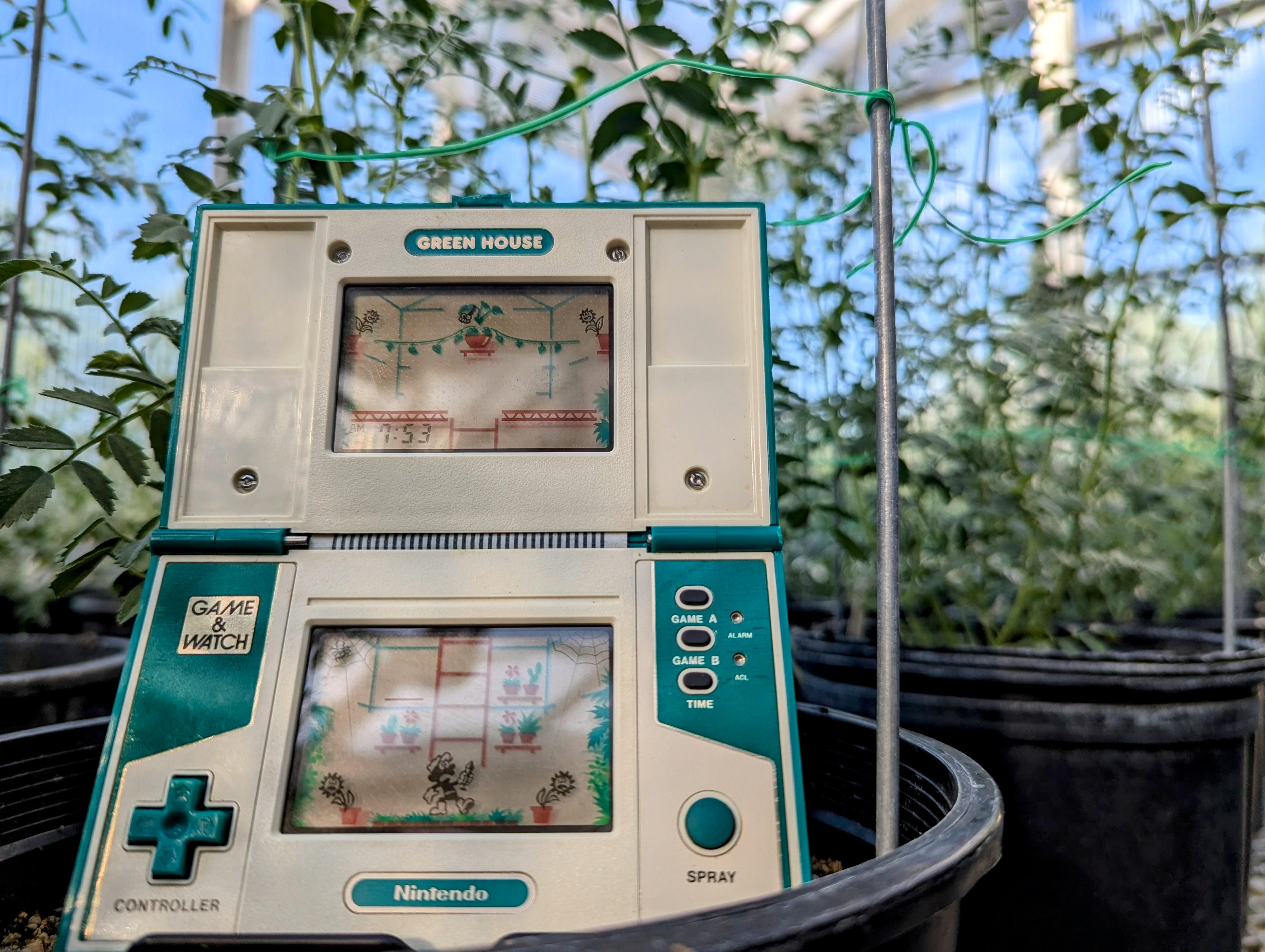 Greenhouse has made it home : r/gameandwatch