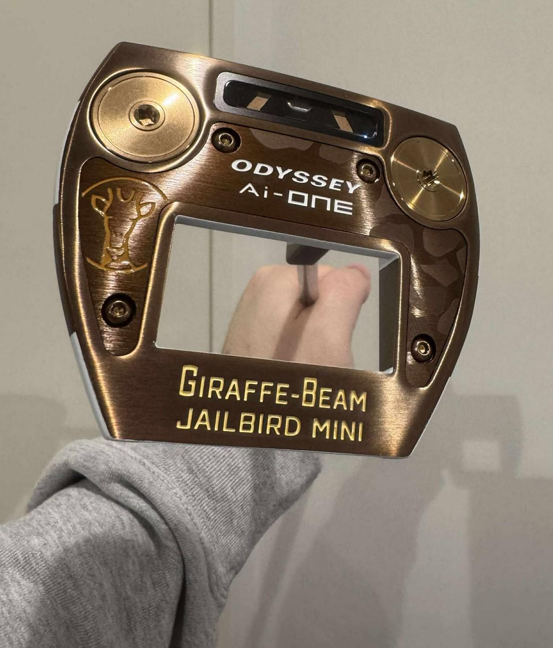 Got a promotion at work, bought a putter. More three putts in