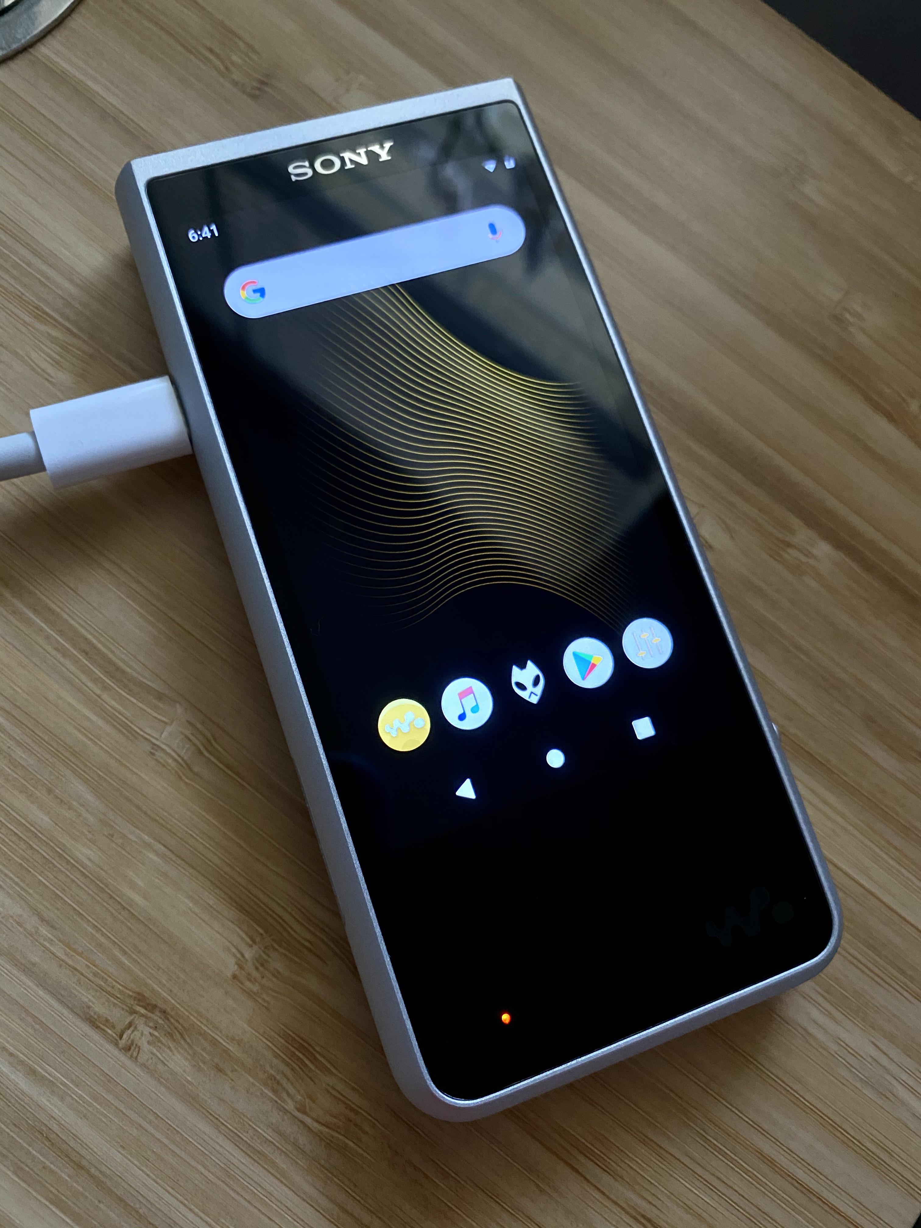 Sony ZX507 why does it sound bad with all headphones, IEMs? : r