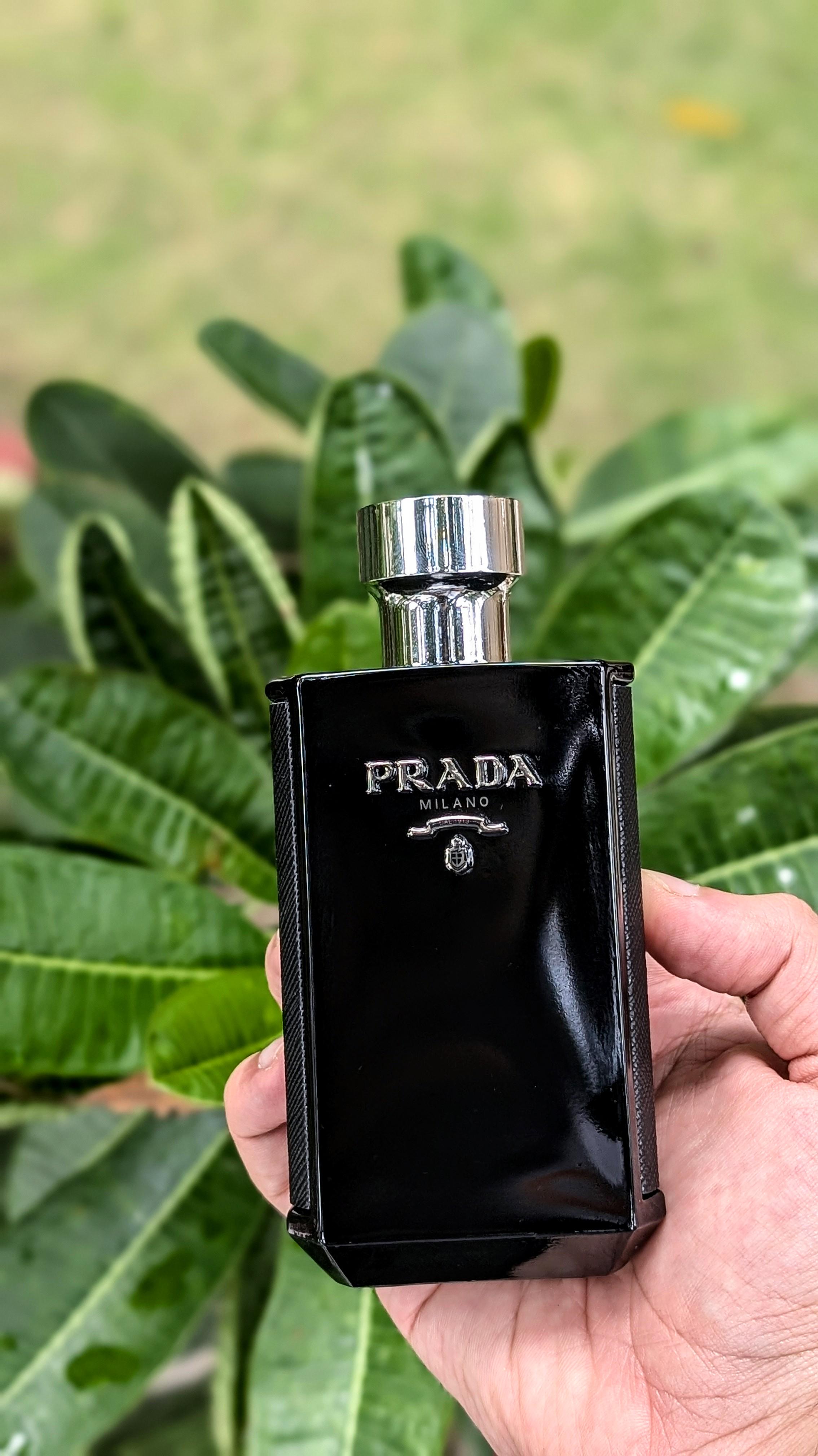 Prada Lhomme Intense - Iris Bomb ✨ : r/DesiFragranceAddicts