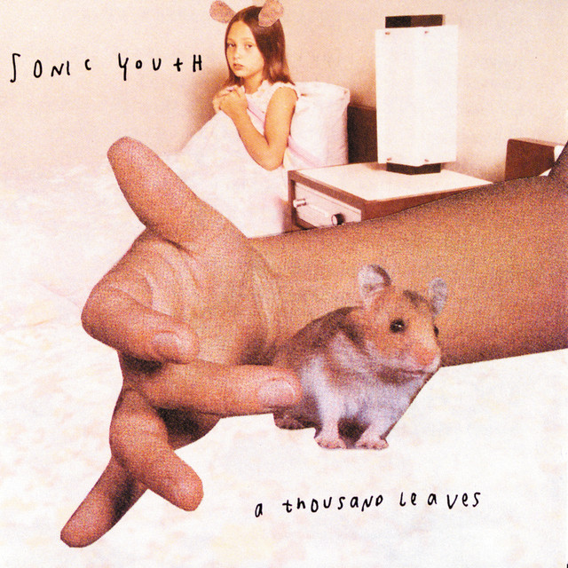 A Thousand Leaves - Album by Sonic Youth | Spotify