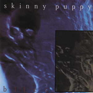 VIVI SECT VI - Album by Skinny Puppy | Spotify