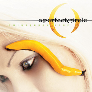 Stone and Echo: Live at Red Rocks - Album by A Perfect Circle