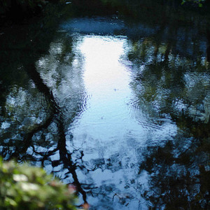 琹の葉/ kotonoha - Album by Ironomi | Spotify