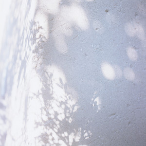 琹の葉/ kotonoha - Album by Ironomi | Spotify