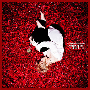 Black シークレット マグネット 別ジャケ Acid 優しい嘘 Cherry