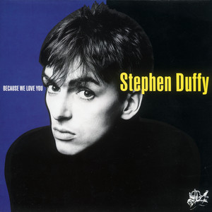 The Ups And Downs - Album by Stephen Duffy | Spotify