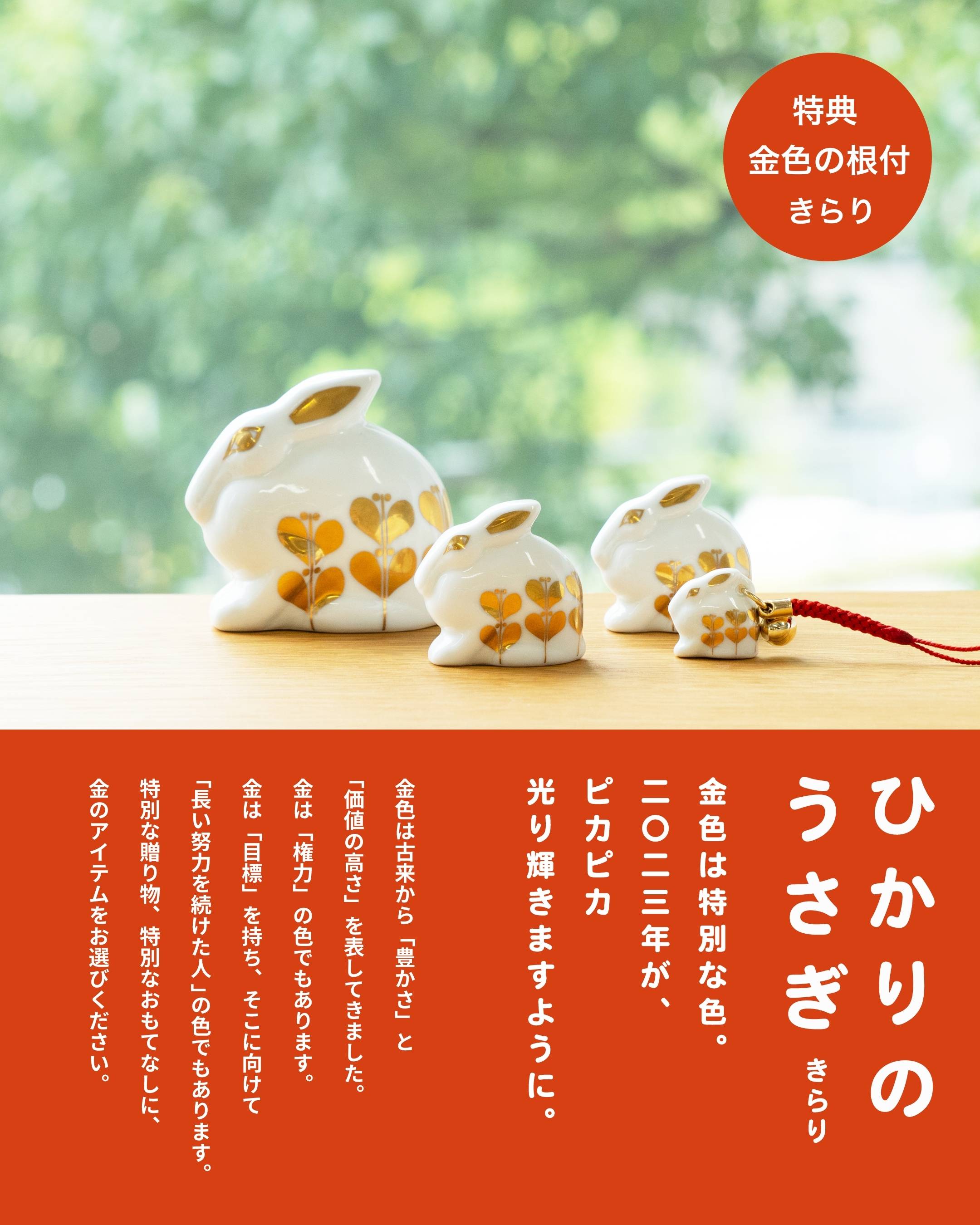 これから本番！ひかりのうさぎ！