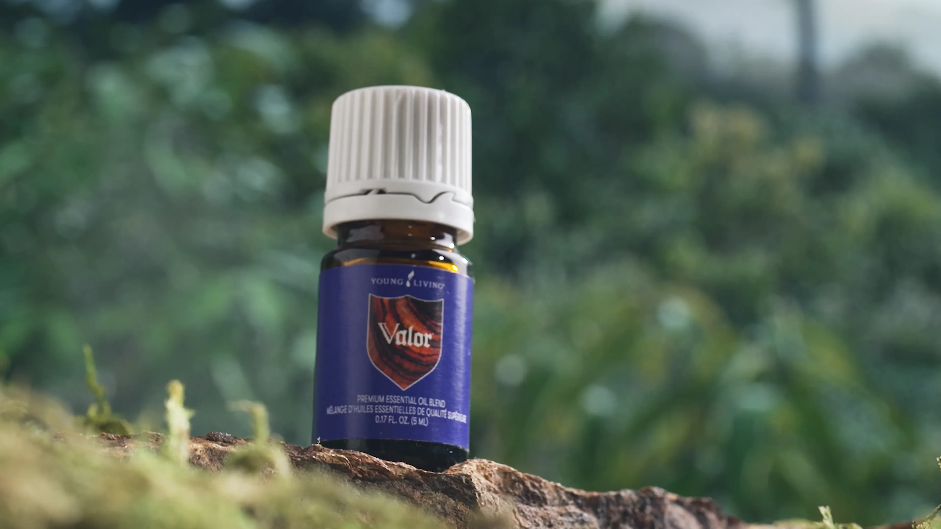 待望の復活販売！｜ローズウッドをブレンドしたオリジナルのヴァラーが