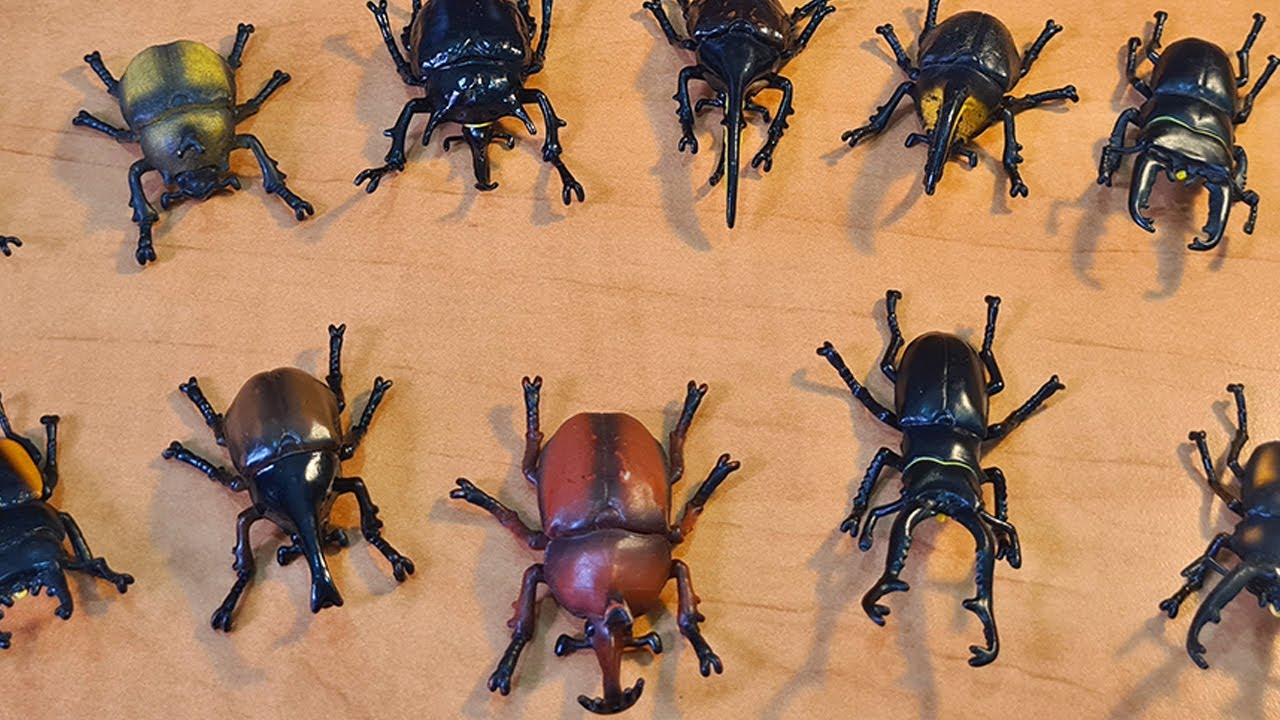 ミニ甲虫軍隊 甲虫王者ムシキング新甲虫図鑑 12種類のコレクション