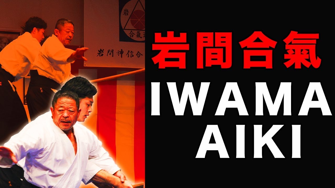 DVD 岩間合氣の神髄