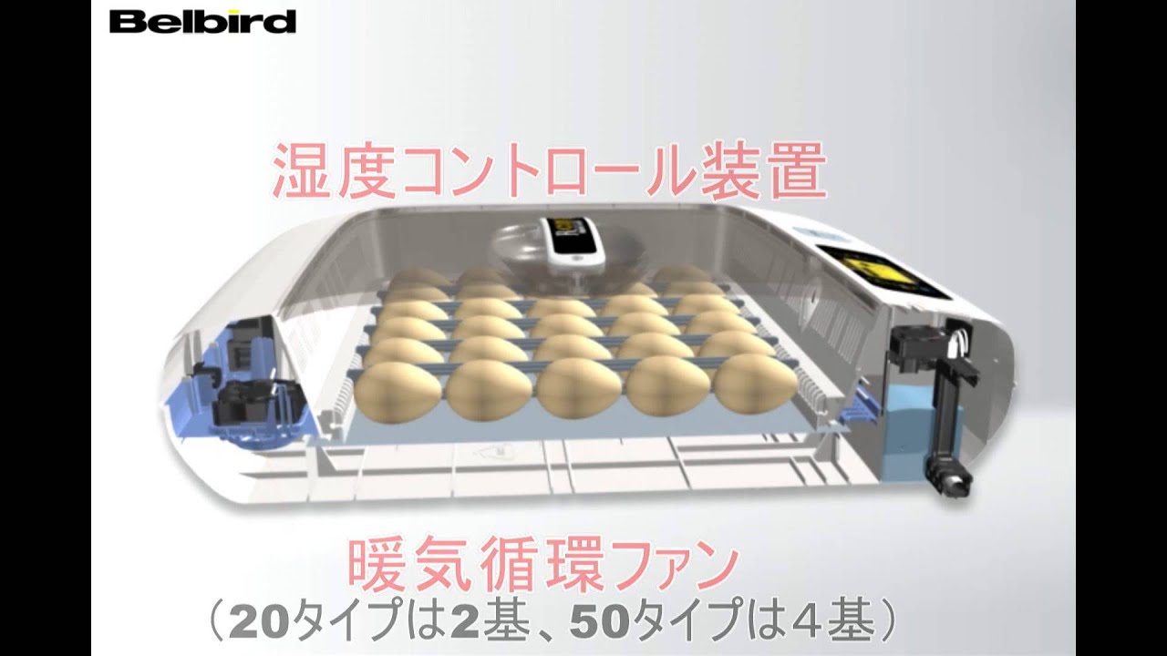 ビッグママシリーズ デジタル全自動孵卵器 - YouTube