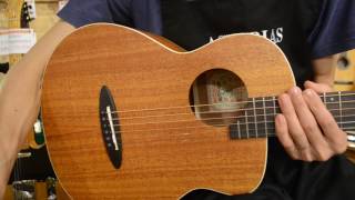 NEW/aNueNue Bird Guitar aNN-M2@guitarshoptantan - YouTube