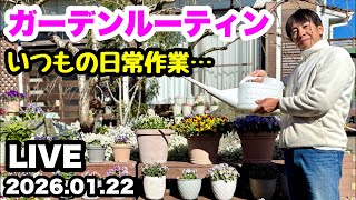 ◇【日常作業をLIVEでお届けします】ゆるふわ園芸やっちゃんねる