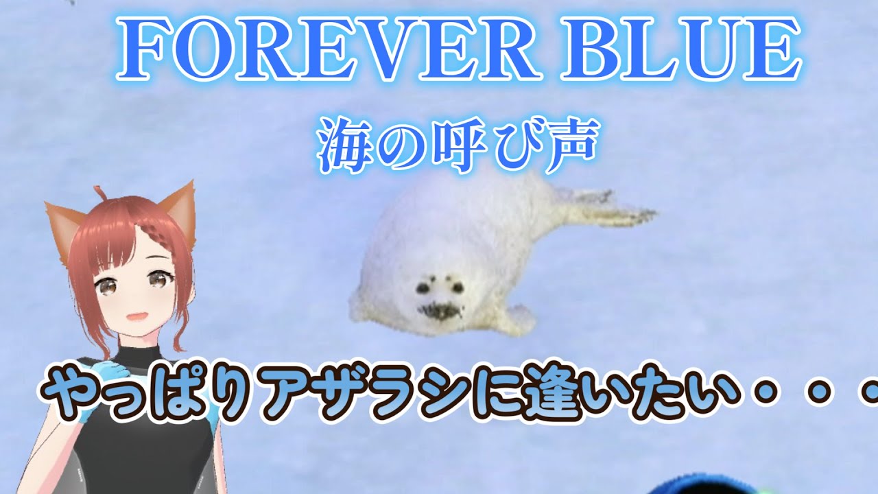 フォーエバーブルー海の呼び声】アザラシやペンギンに逢いたくて、朝